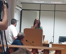 Professora-escritora de Alvorada do Sul é homenageada pela Câmara Municipal da cidade