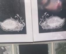 CE Maria R. Fraciosi participa de 18º Jornada Agroecologia com Exposição GRÃO VIDA – GRÃO NEGÓCIO